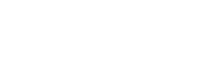 logo Foco Total Concursos